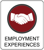 Employment Experiences Button