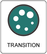 Transition Button