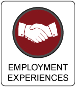 Employment Experiences Button